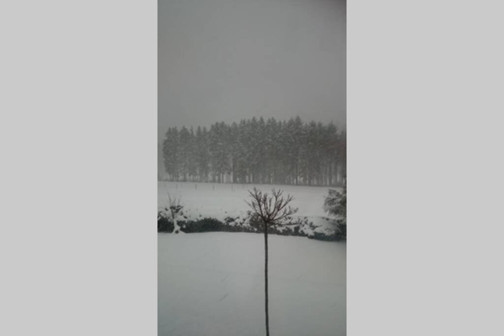 Ruhe Oase Mit Tollem Fernblick Inmitten Der Natur Limbach  Exteriör bild